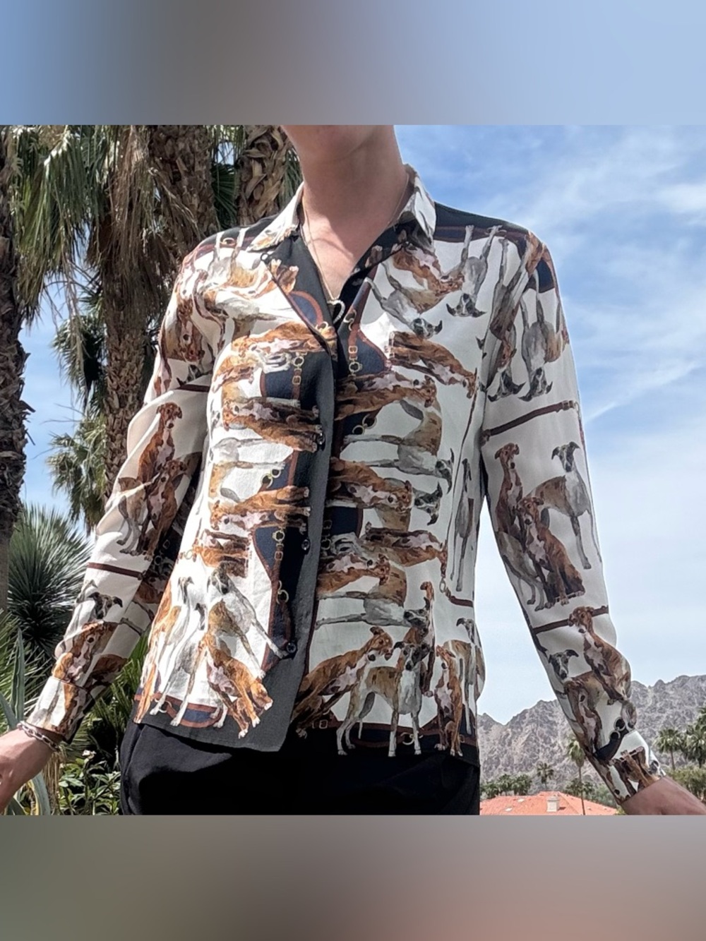 Sara Roka Greyhound Blouse